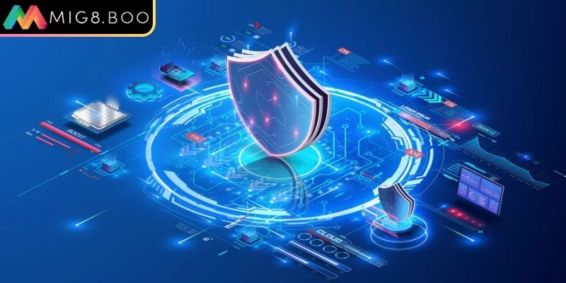 Nguyên tắc thu thập dữ liệu Nguyên tắc thu thập dữ liệu