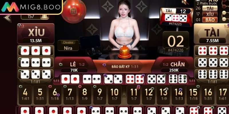 Hướng dẫn tham gia chi tiết